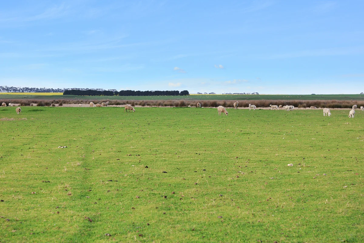 Additional image 5 of Darlington-Carranballac Road, Pura Pura VIC 3271