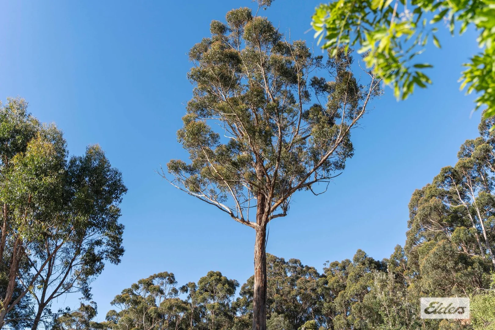 Additional image 45 of 383 Castra Road, Ulverstone TAS 7315