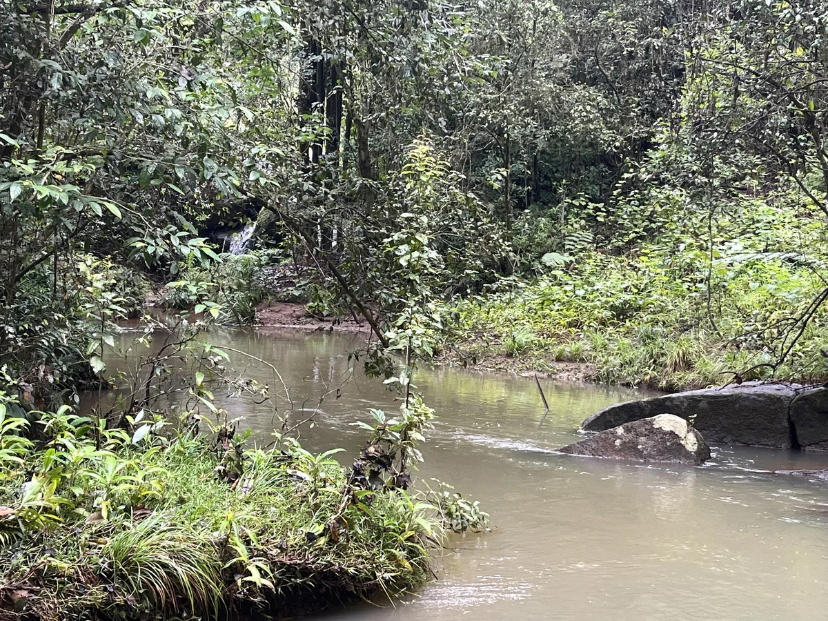 Additional image 15 of Tarzali QLD 4885