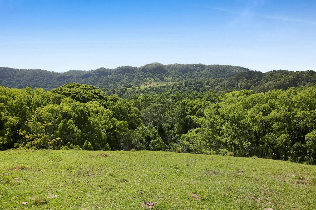 Additional image 23 of 1039 Currumbin Creek Road, Currumbin Valley QLD 4223