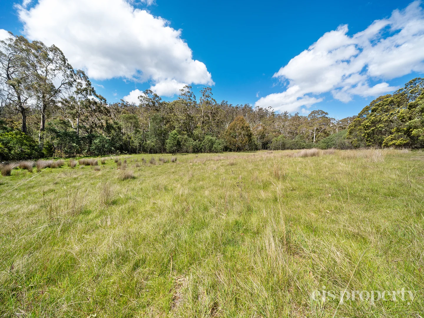 Additional image 3 of Lot 1/241 Chauncy Vale Road, Bagdad TAS 7030