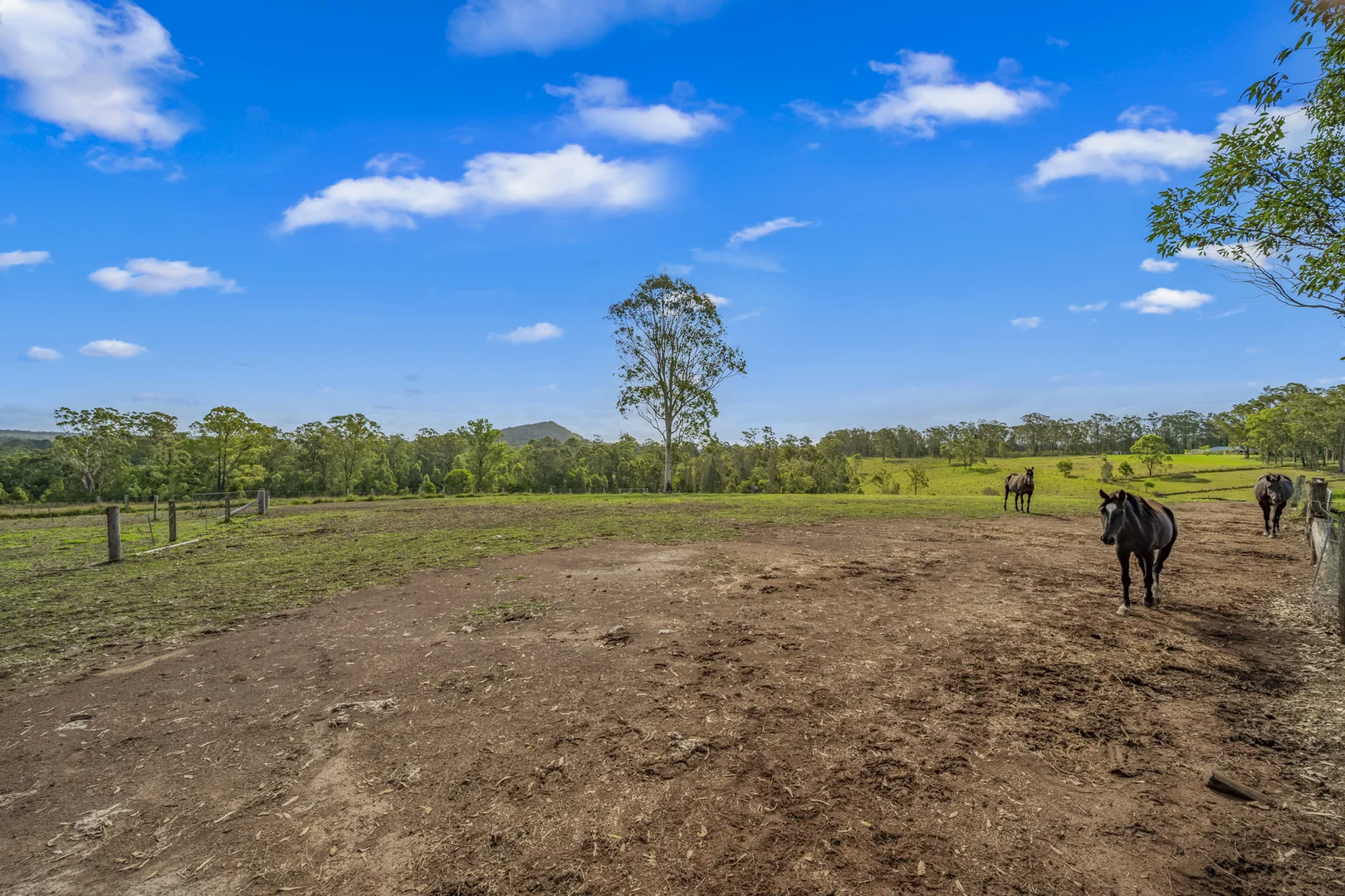 Additional image 21 of 80 Dargavilles Road, Nabiac NSW 2312