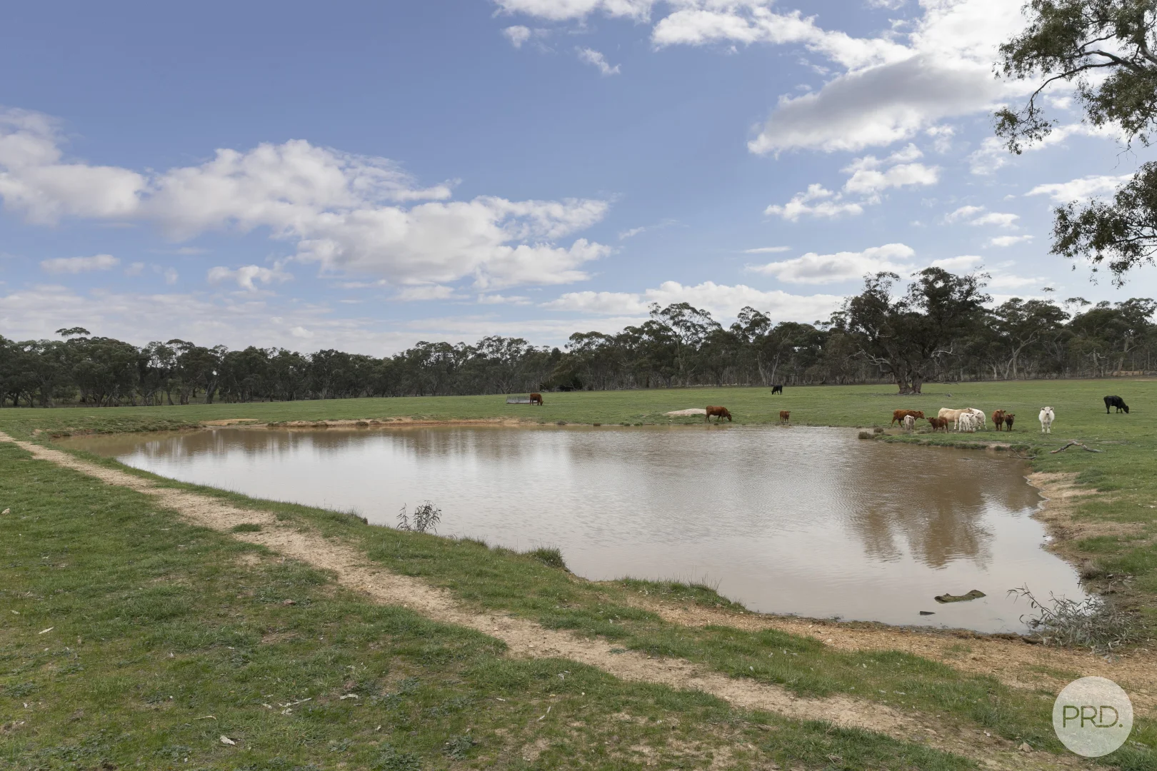 Additional image 5 of 203 Browns Road, Burnbank VIC 3371