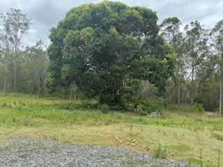 Additional image 25 of 420 Mount Bucca Road, Abbotsford QLD 4670