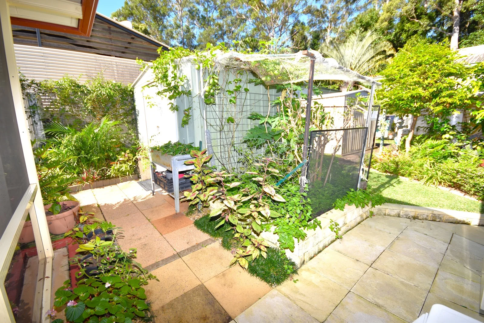 Additional image 11 of 37v/71 Owen Creek Road, Forest Glen QLD 4556