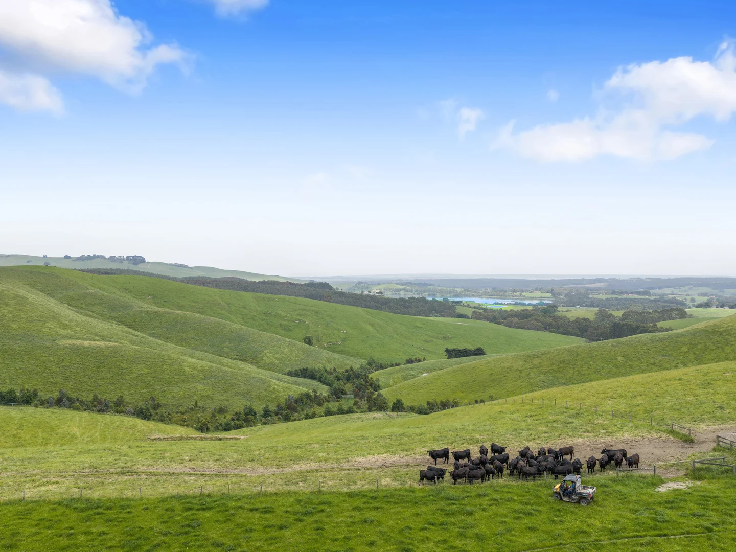 Additional image 8 of 1096 Grantville - Glen Alvie Road, Almurta VIC 3979