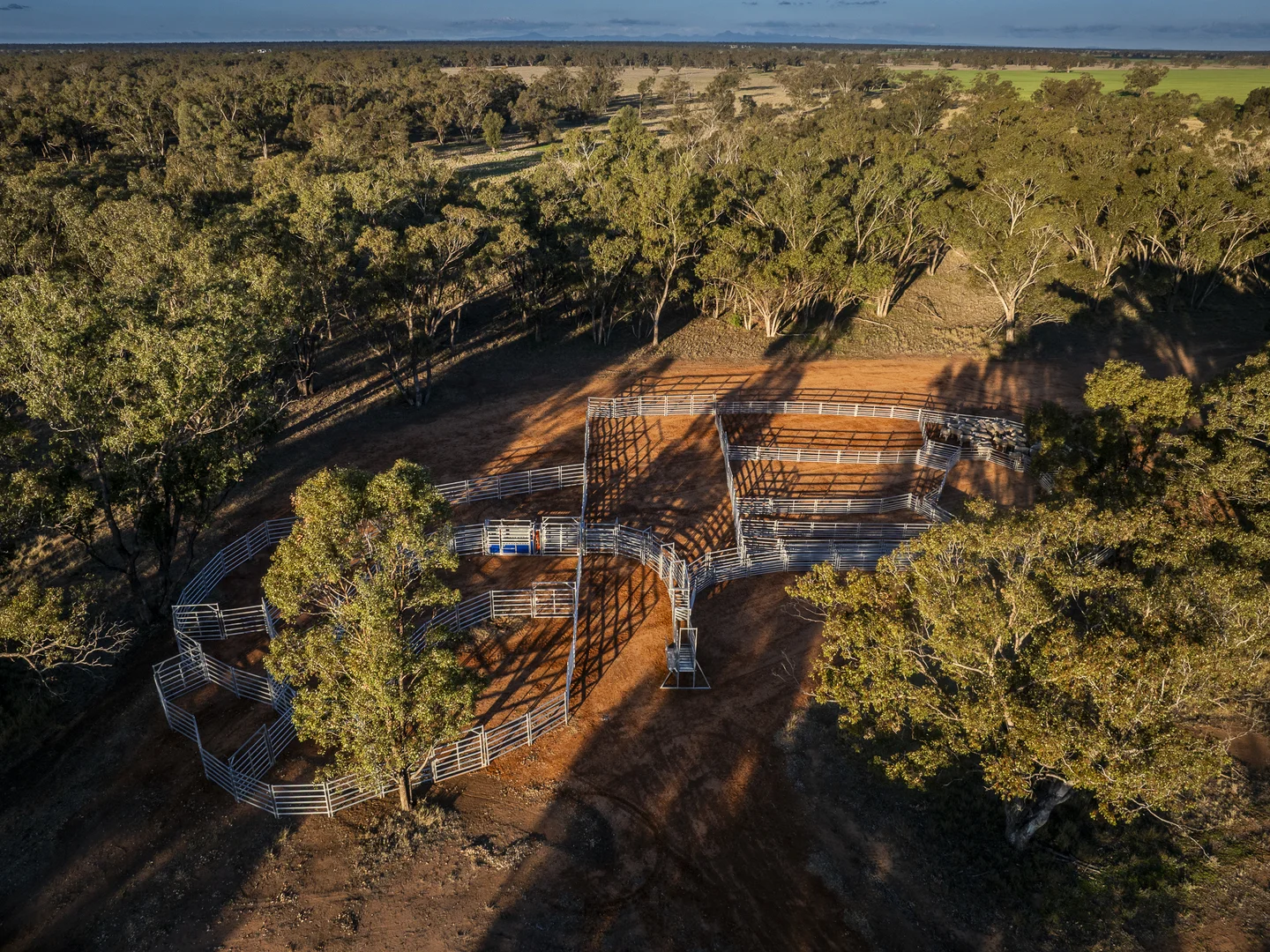 Additional image 17 of Bourbah 2598 Warren Road, Gulargambone NSW 2828