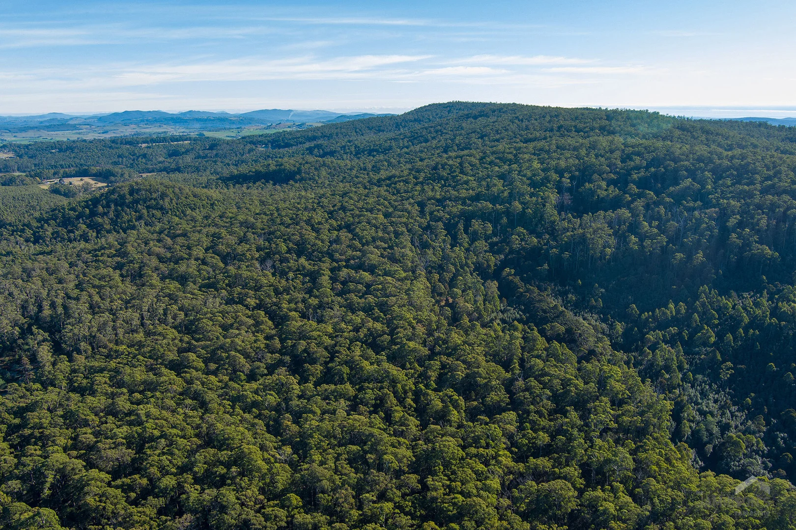 Additional image 16 of Weetah Road, Weetah TAS 7304