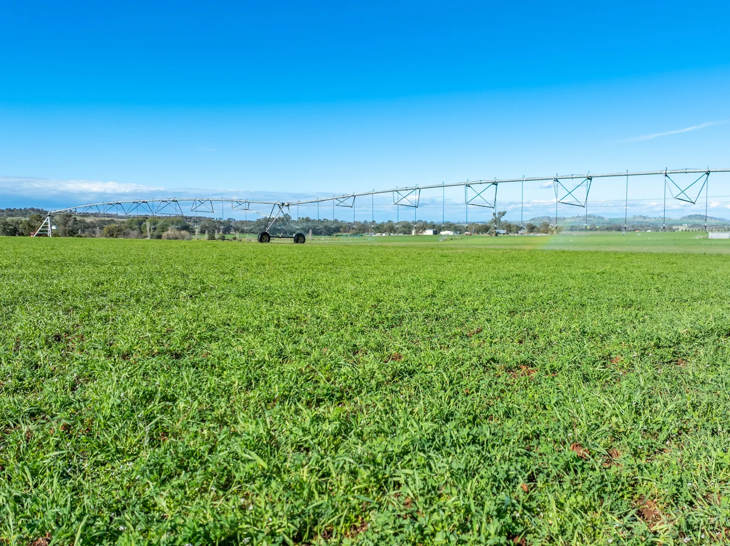 Additional image 27 of 164 Settlement Bridge Road, Canowindra NSW 2804