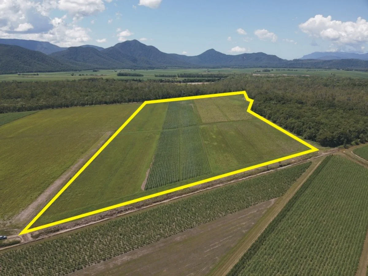 Additional image 2 of 162 Covells Road, Gairloch QLD 4850