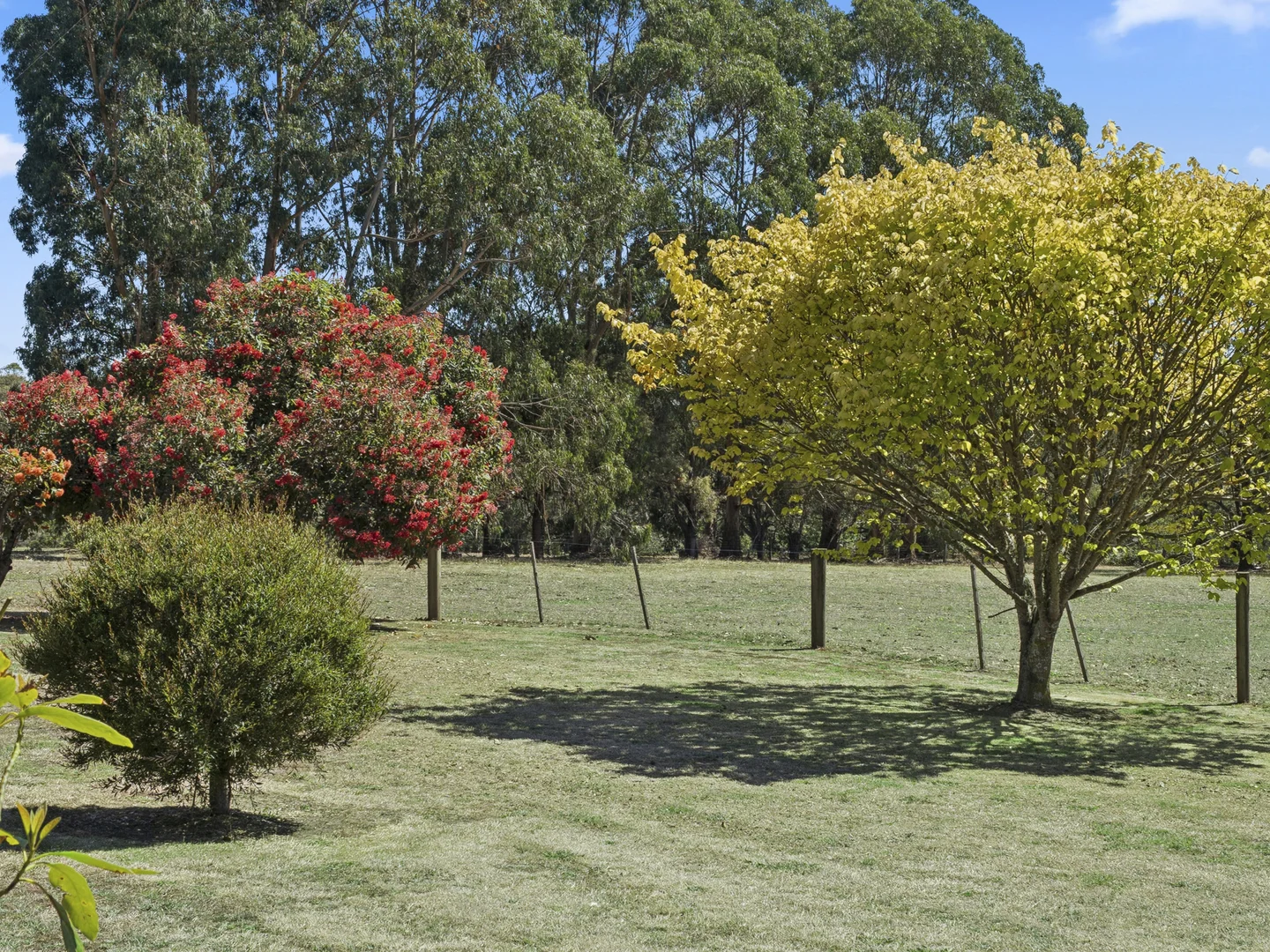 Additional image 23 of 1310 Colac - Forrest Road, Yeodene VIC 3249