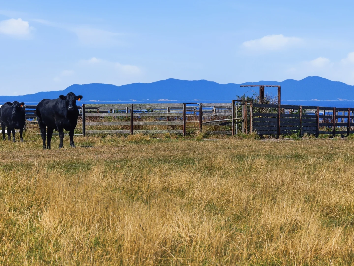 Additional image 8 of 40 Walkerville South Road, Tarwin Lower VIC 3956