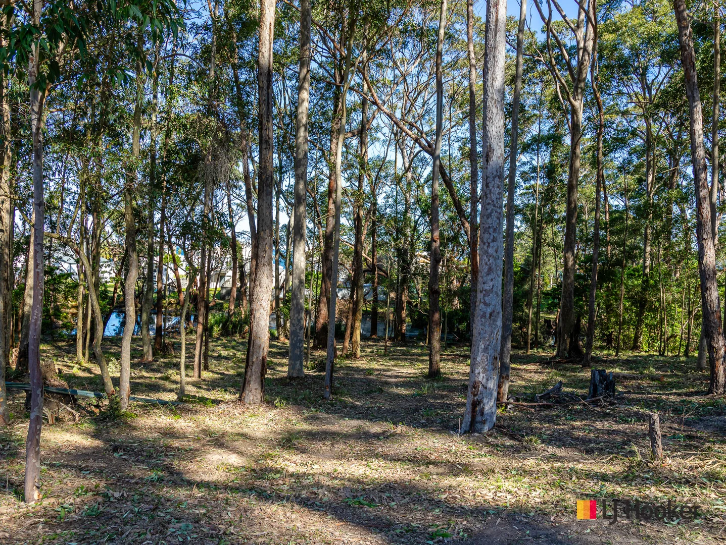 Additional image 6 of 4 Gibraltar Way, Long Beach NSW 2536
