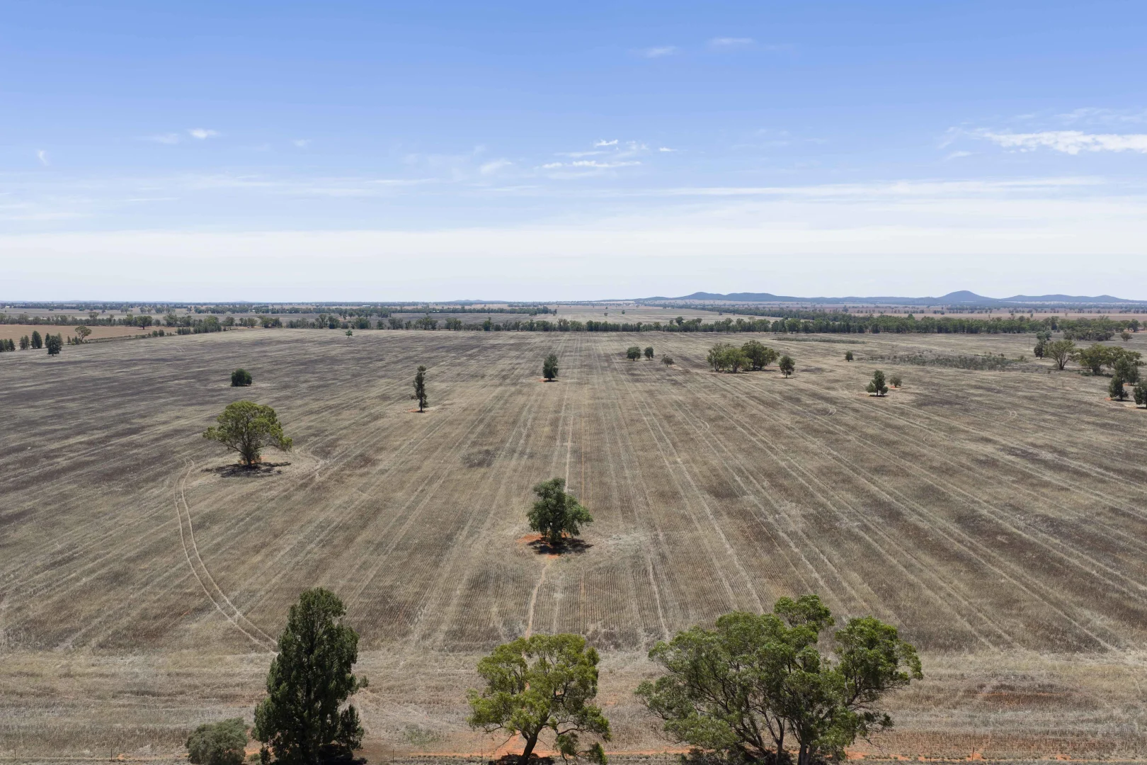 Additional image 16 of 489 West Milby Lane, Tullibigeal NSW 2669