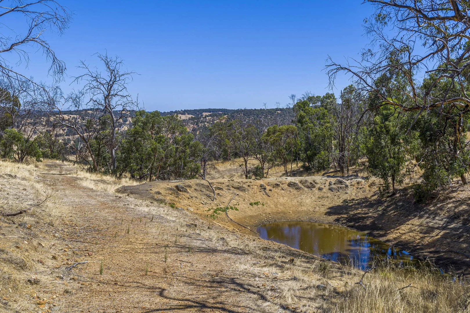 Additional image 31 of 167 Davis Road, Lower Chittering WA 6084