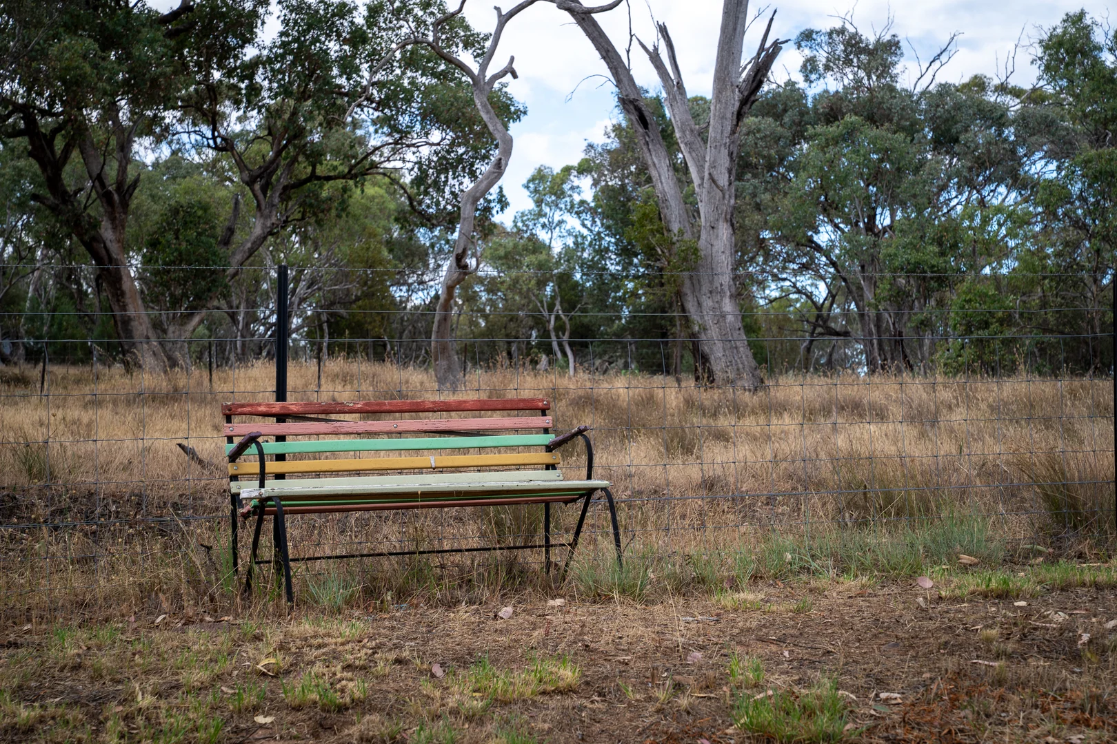 Additional image 19 of 328 Pinecliffe Road, Molong NSW 2866