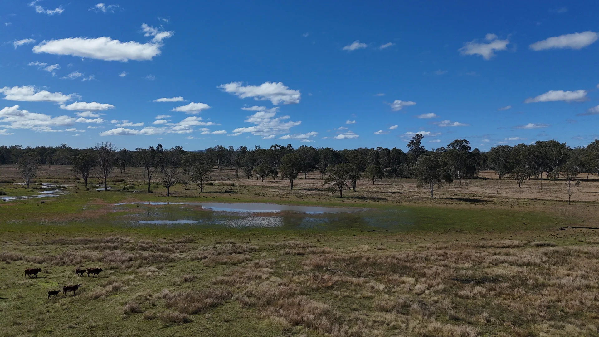 Additional image 19 of 8 Screening Plant Road, Cynthia, Eidsvold QLD 4627