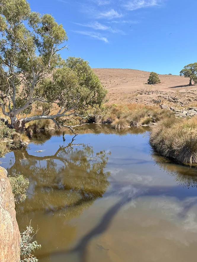 Additional image 4 of Lot 49 Back Callington Road, St Ives SA 5252