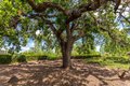 Additional image 48 of 2436 Cody Ct, Rocklin, CA, 95765