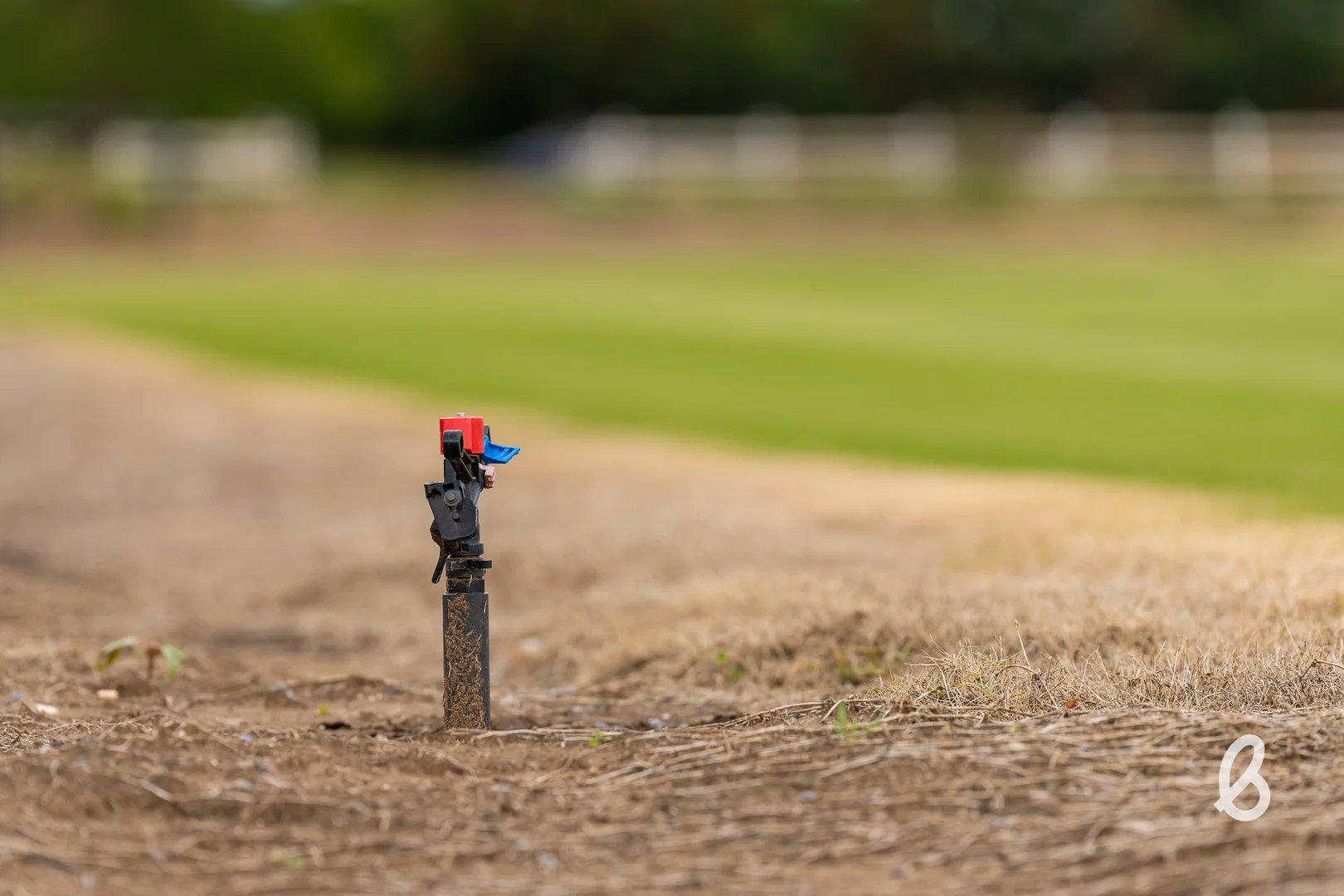 Additional image 24 of 477 Long Point Road, Long Point NSW 2330