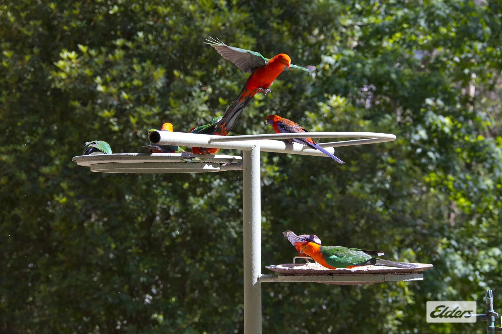 Additional image 15 of 948 Jamberoo Mountain Road, Jamberoo NSW 2533