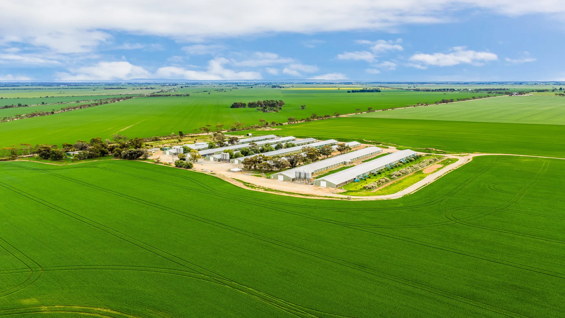 Additional image 4 of 85 Wandel Road, Owen SA 5460