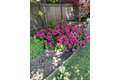 Additional image 34 of 2805 Granite Park Ln, Elk Grove, CA, 95758