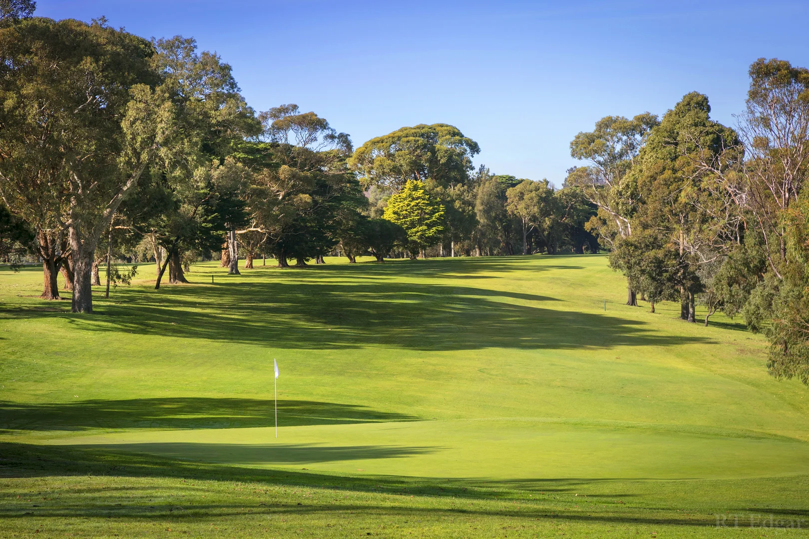 Additional image 4 of 82 Wills Street, Kew VIC 3101