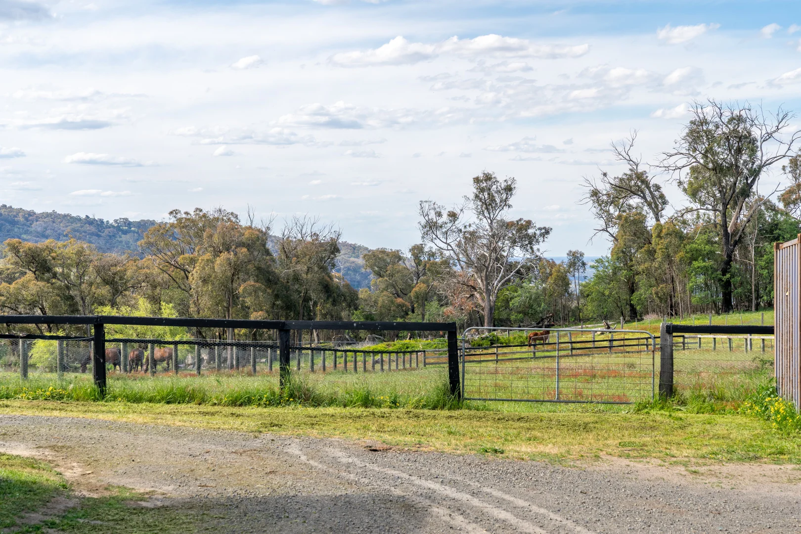 Additional image 32 of 933 Longwood-Ruffy Road, Ruffy VIC 3666