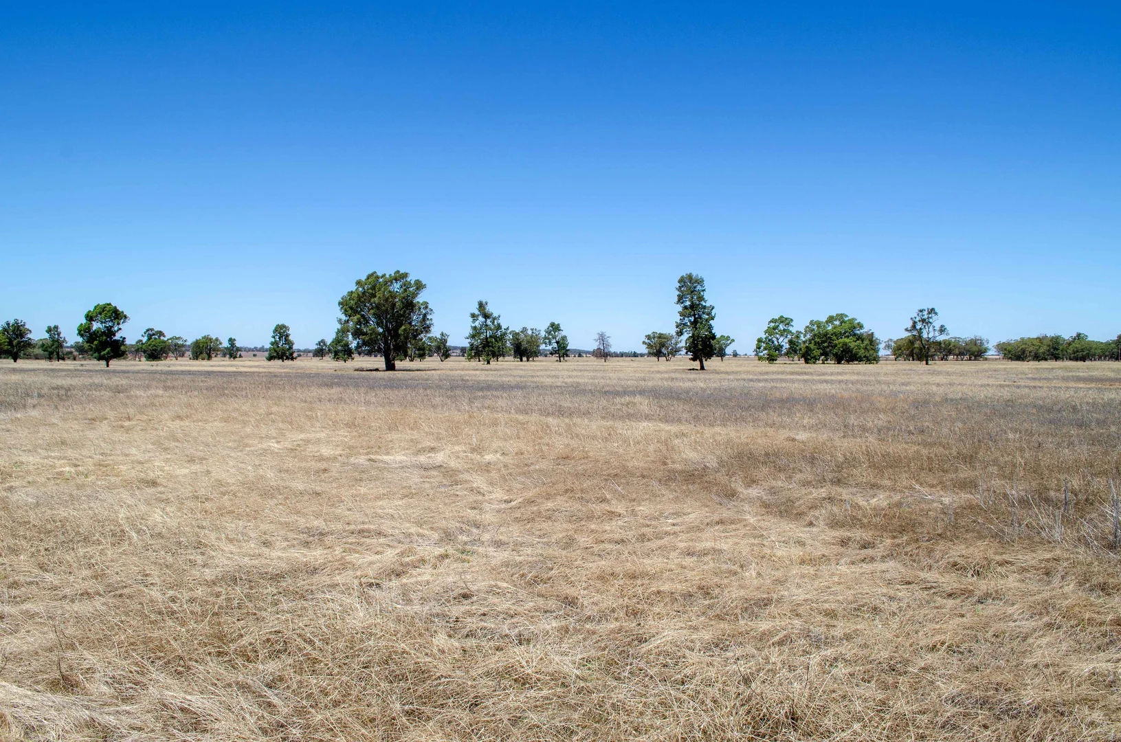 Additional image 17 of 489 West Milby Lane, Tullibigeal NSW 2669