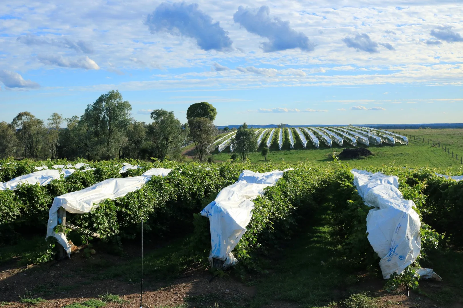 Additional image 5 of 700 Coonambula Road,, Riverleigh QLD 4626