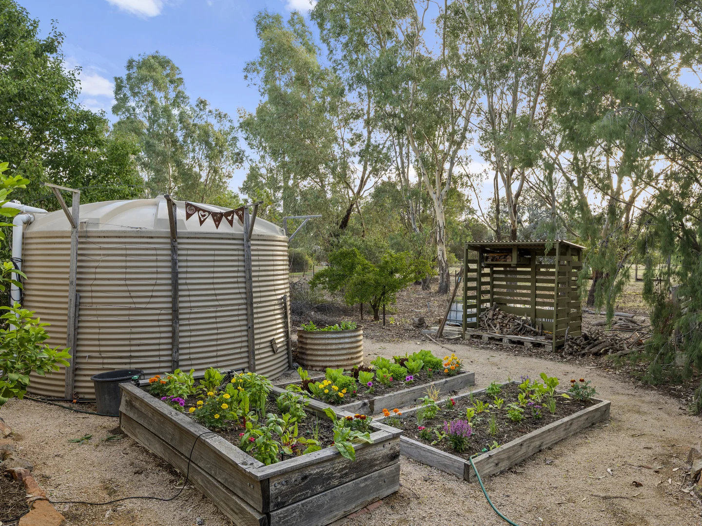 Additional image 19 of 8 Orchid Street, Violet Town VIC 3669