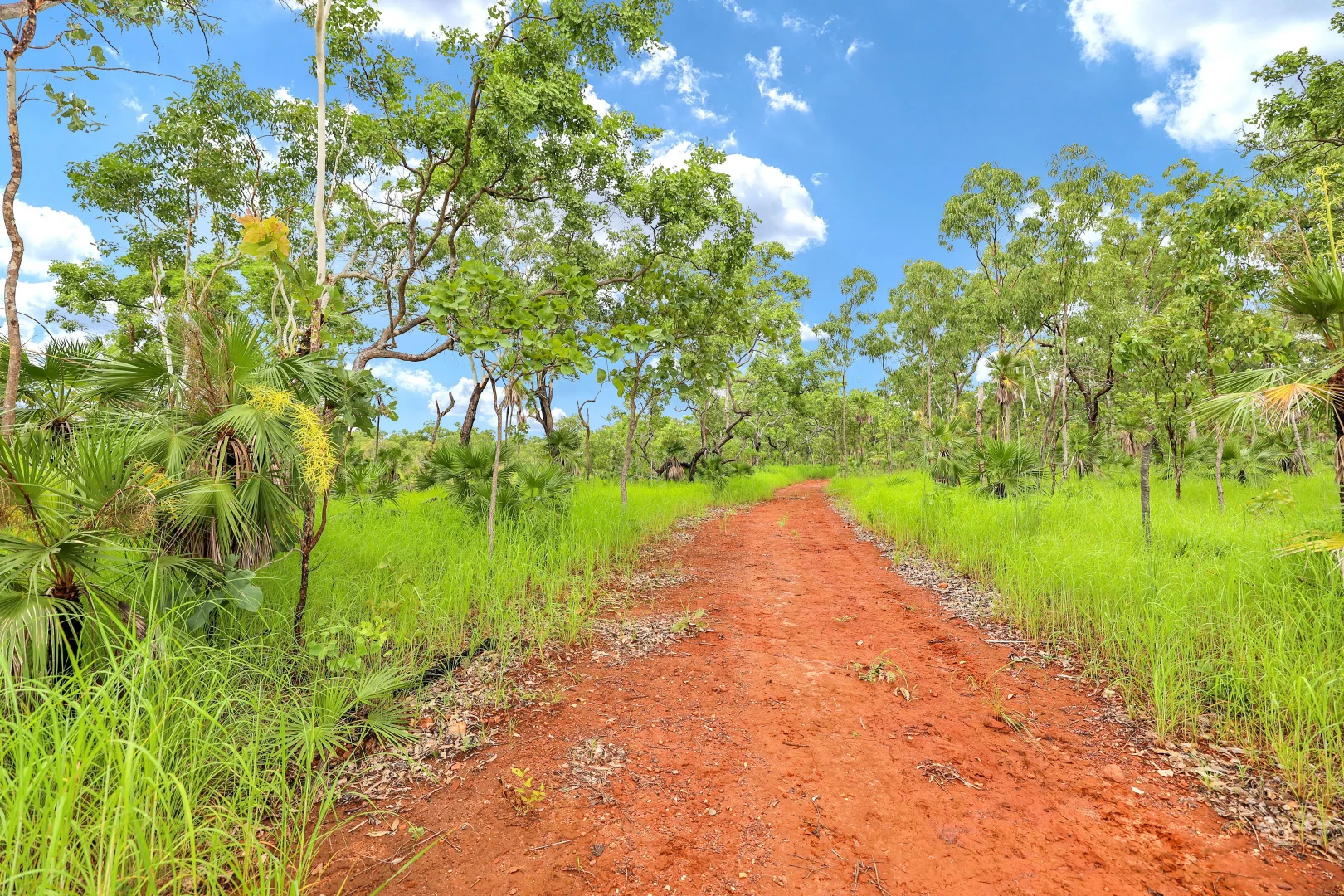 Additional image 11 of 350 Daly River Road, Robin Falls NT 0822