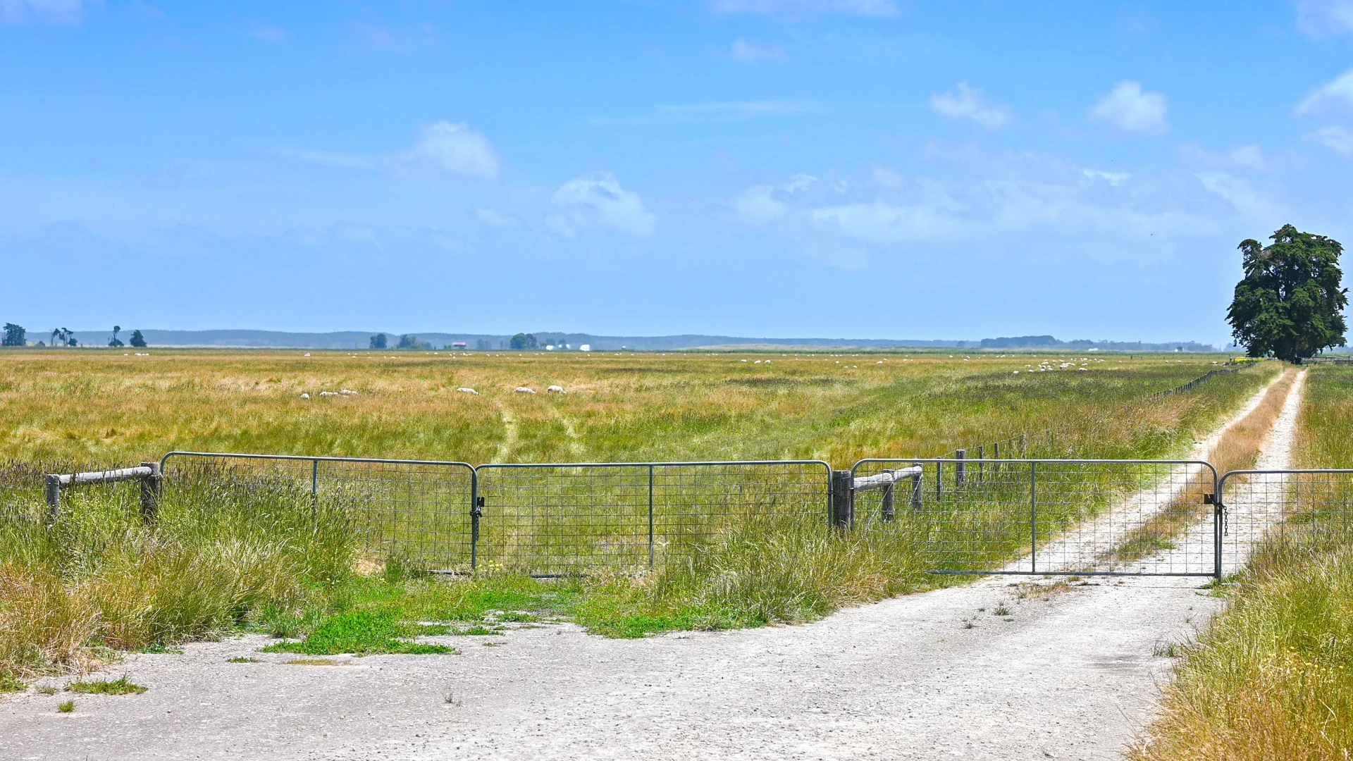 Additional image 18 of Lot 55 Princes Highway, Millicent SA 5280