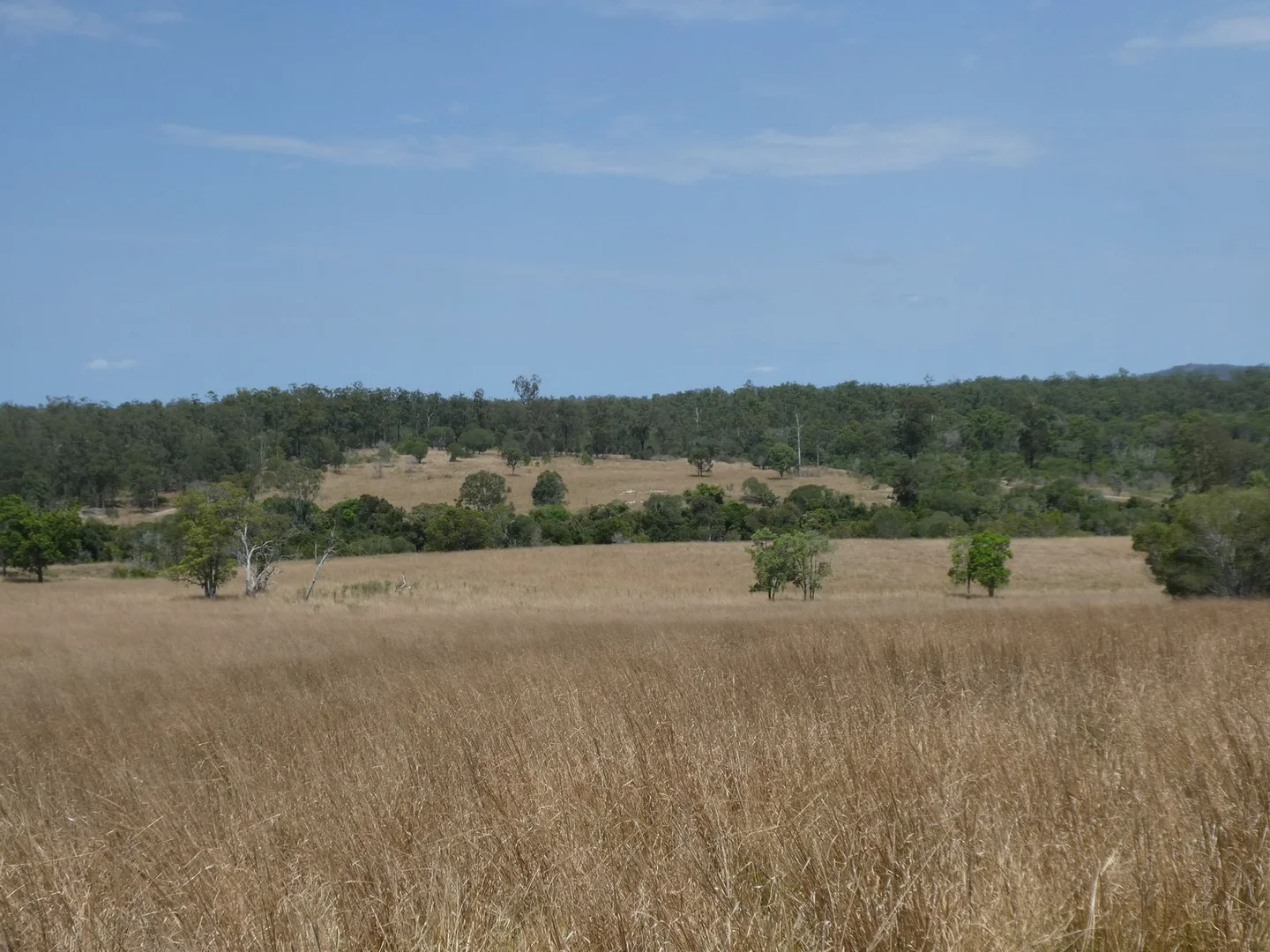 Additional image 2 of 35 Mahoneys Road, Bucca QLD 4670