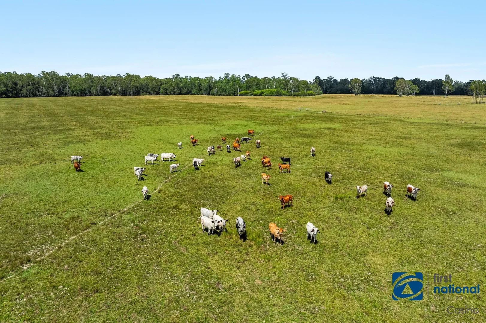 Additional image 21 of 541 Tatham Ellangowan Road, Tatham NSW 2471