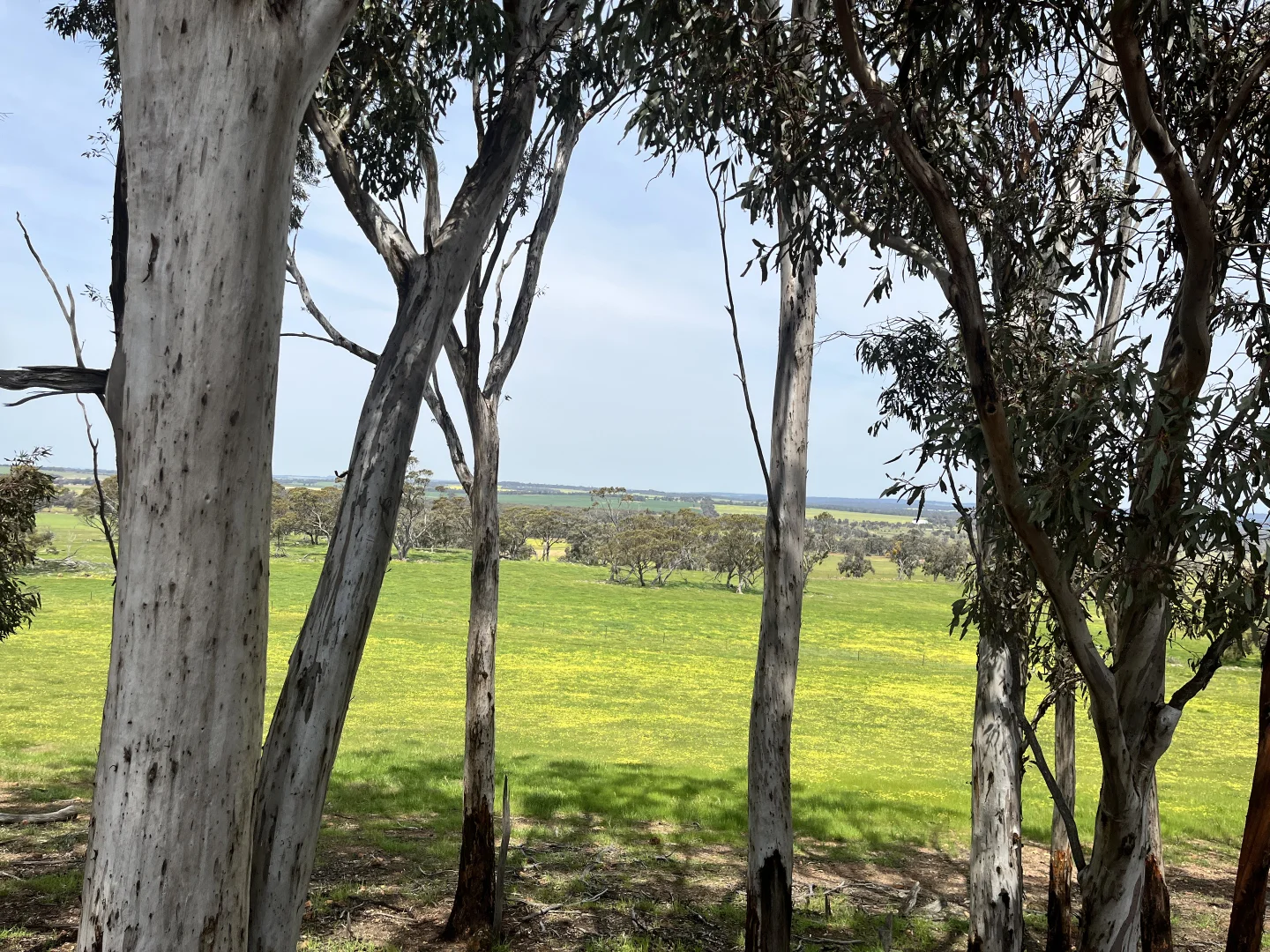Additional image 26 of 547 Bunmulling Road, Popanyinning WA 6309