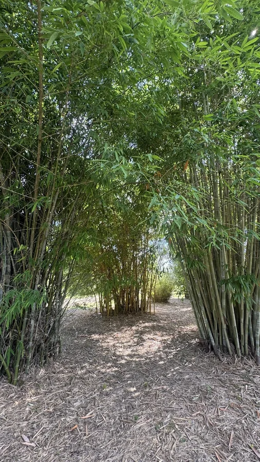 Additional image 17 of 15226 Bunya Highway, Murgon QLD 4605