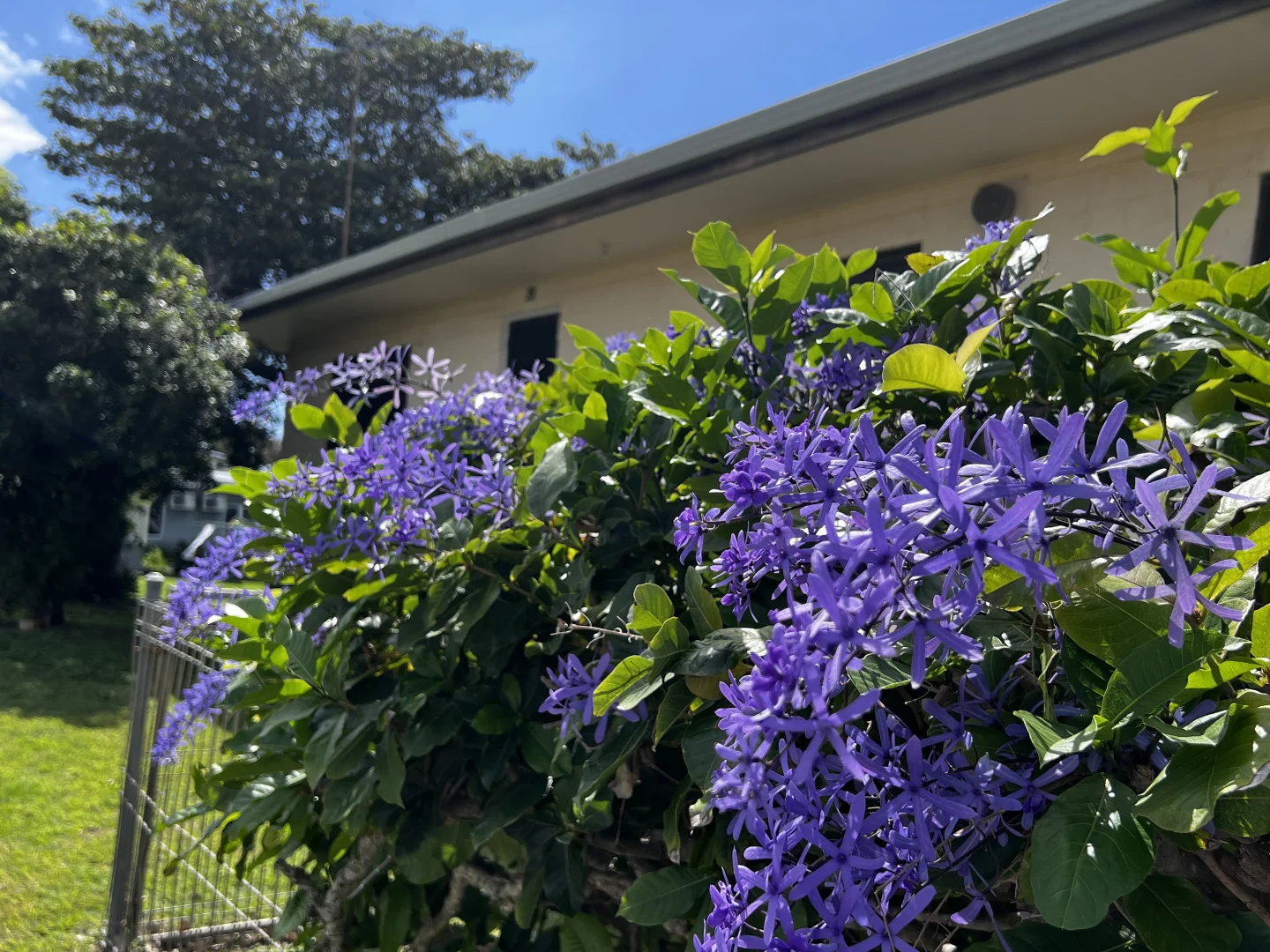 Additional image 40 of 39 Narrah Street, Alva QLD 4807