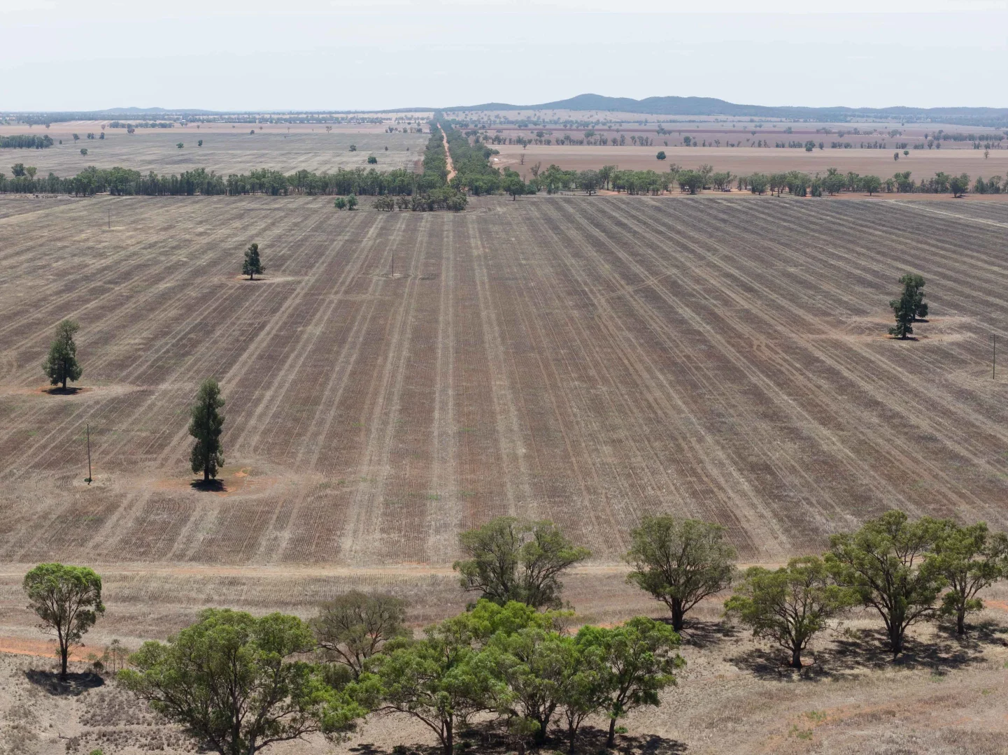 Additional image 2 of 489 West Milby Lane, Tullibigeal NSW 2669