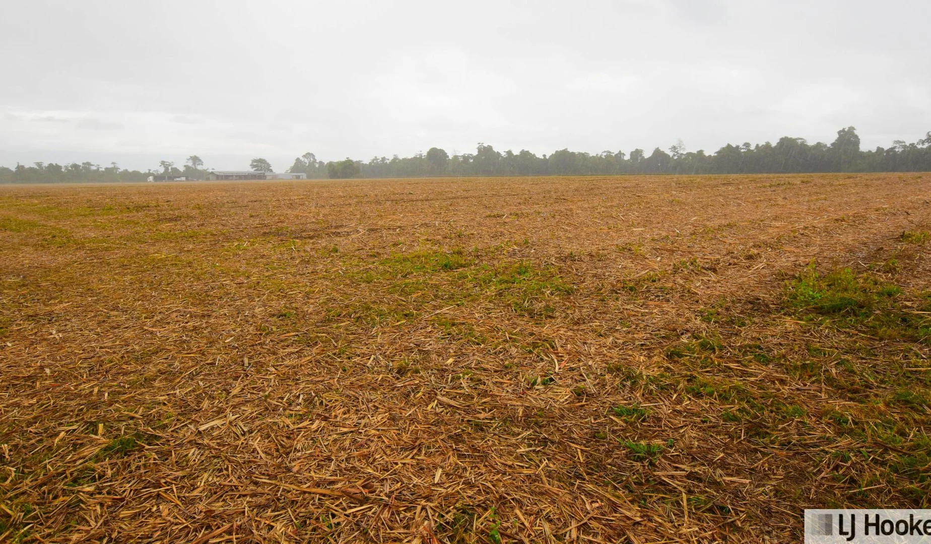 Additional image 3 of 262870 Gibbs Road, Munro Plains QLD 4854