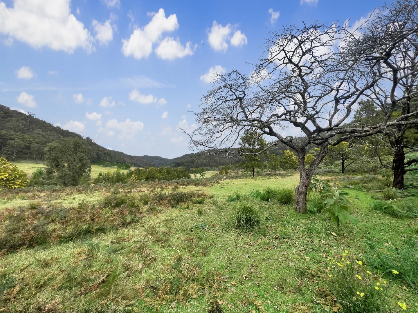 Additional image 7 of Parcel A Hitcham Park Dairy Arm Road, Laguna NSW 2325