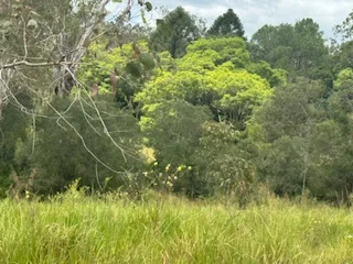 Additional image 26 of 420 Mount Bucca Road, Abbotsford QLD 4670