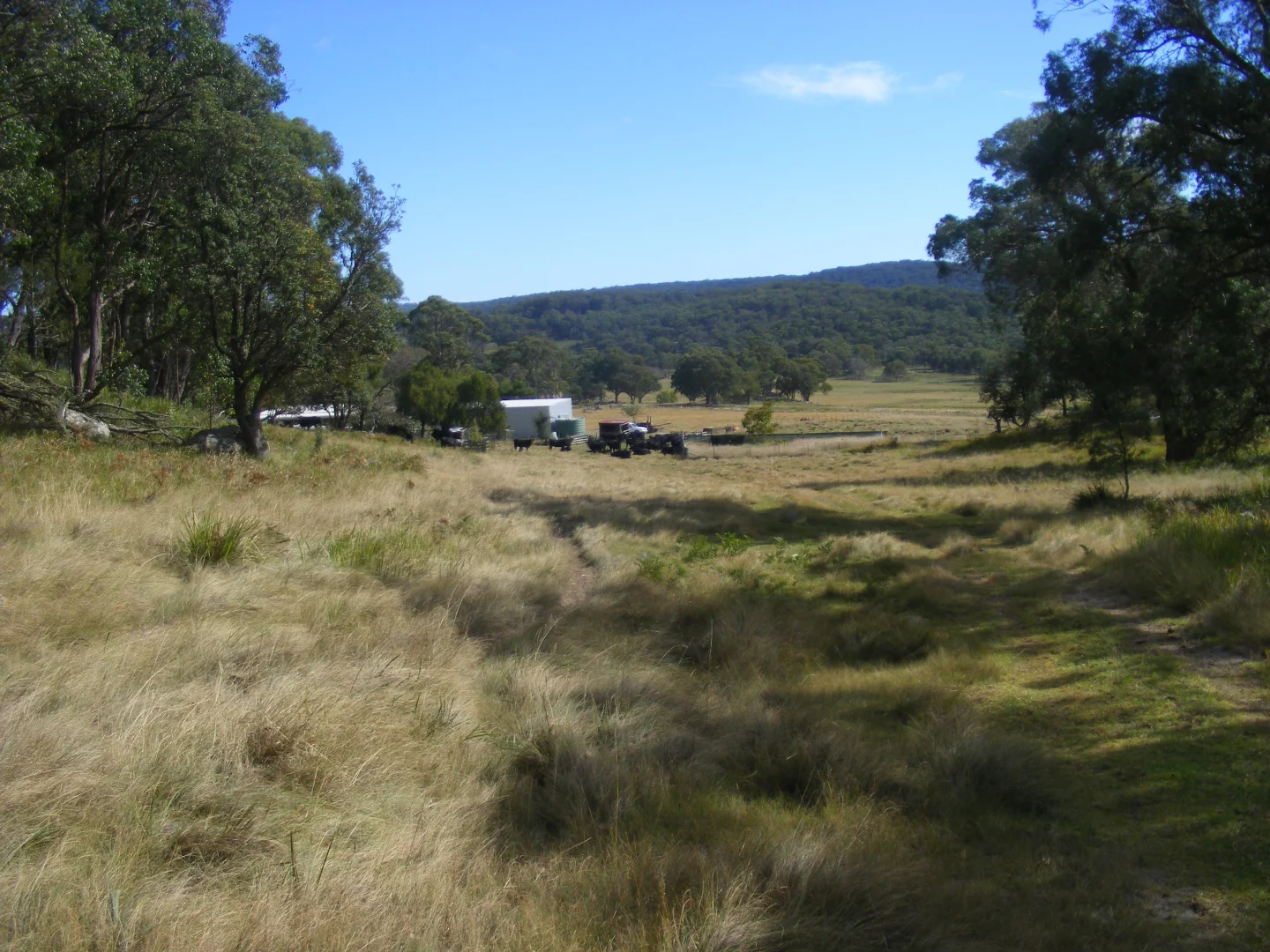 Additional image 19 of 618 Coopers Road, Red Range NSW 2370