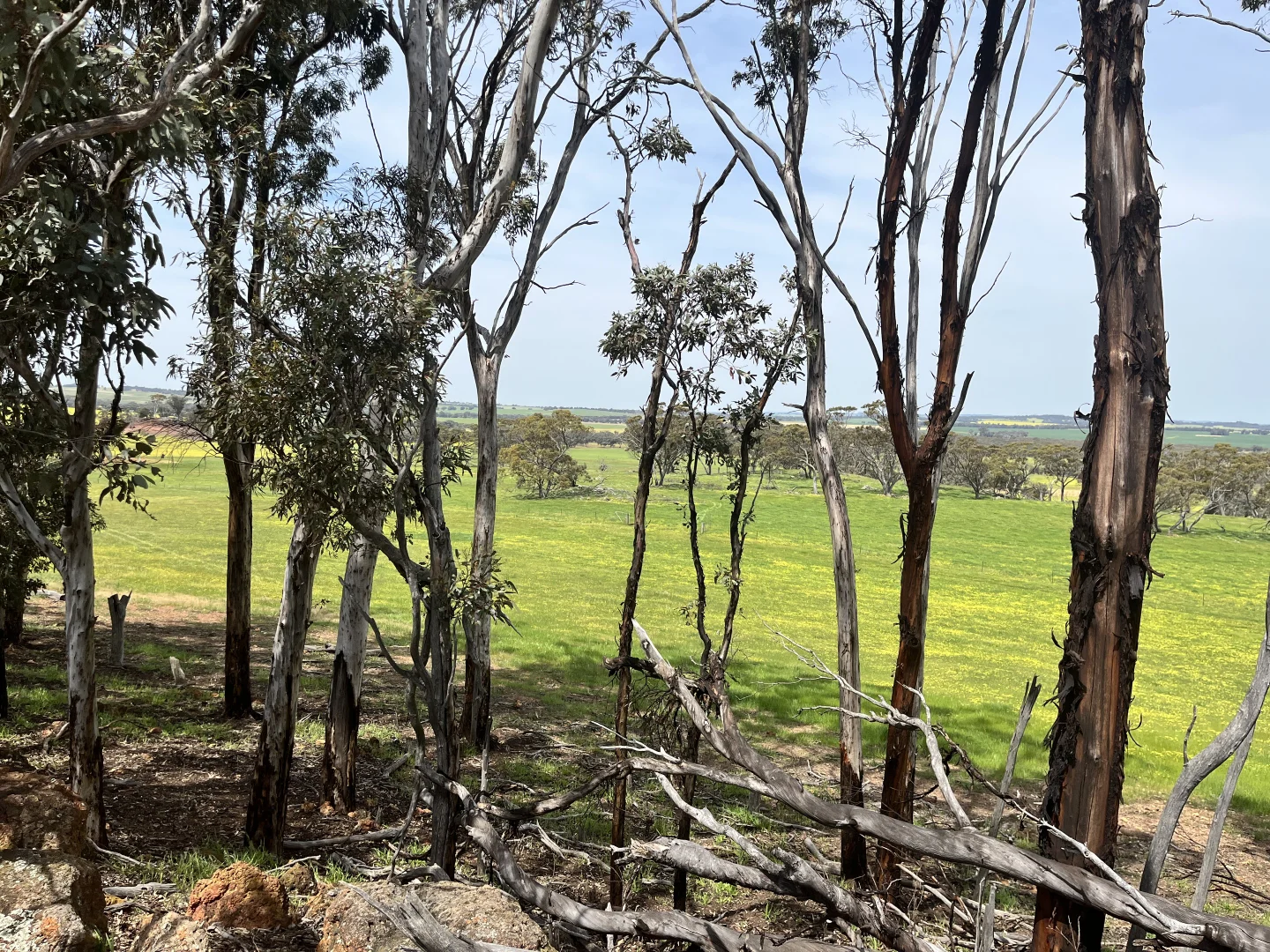 Additional image 23 of 547 Bunmulling Road, Popanyinning WA 6309