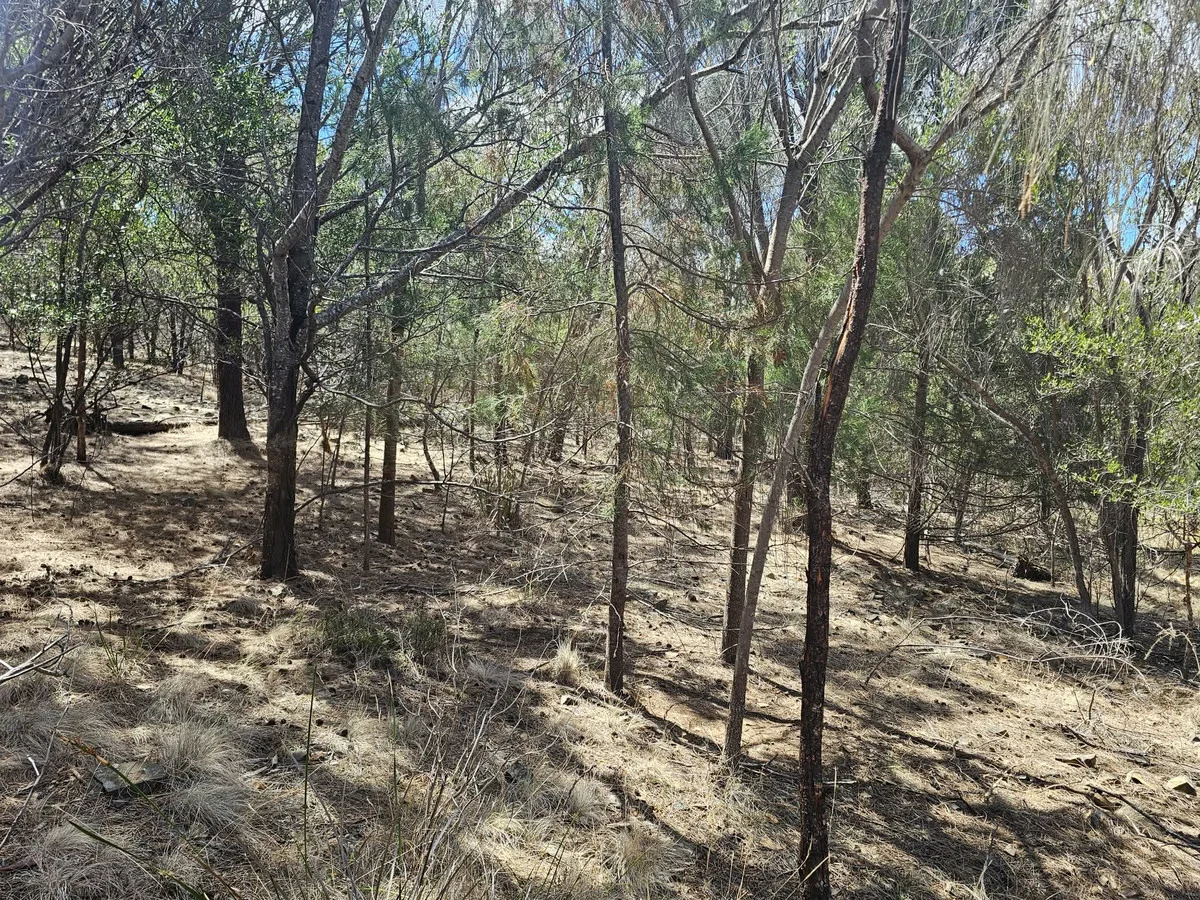 Additional image 5 of 3/5 Addison Street, Swansea TAS 7190