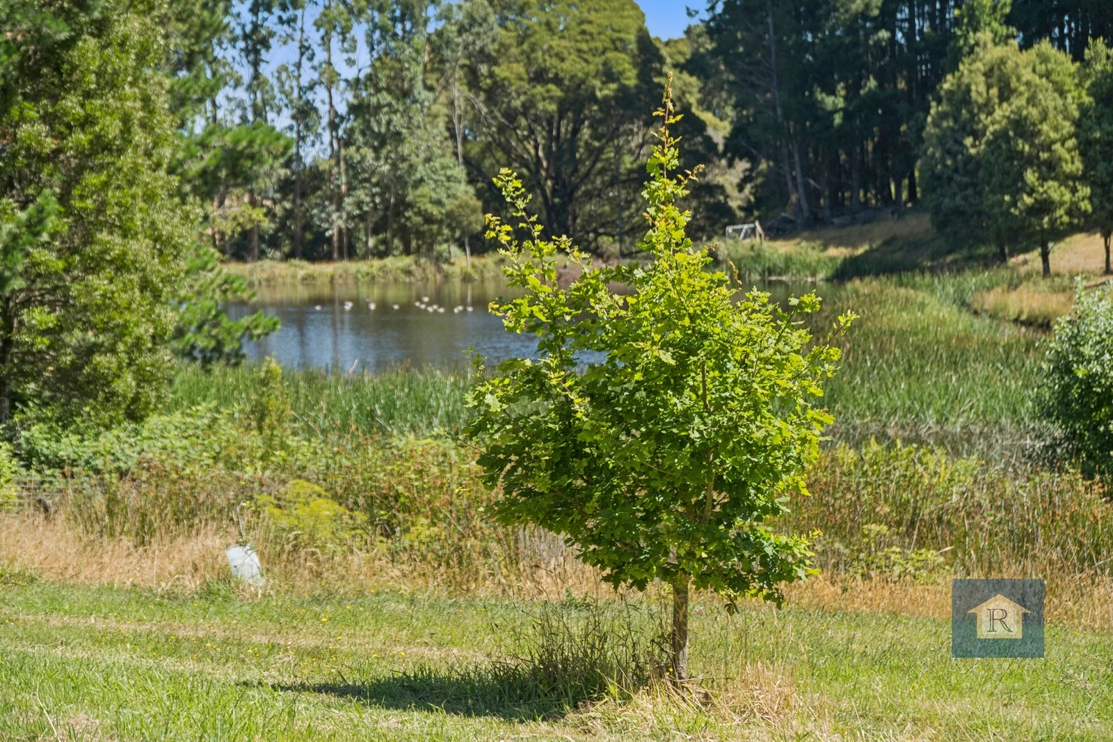Additional image 16 of 22 Old Main Road, Beech Forest VIC 3237
