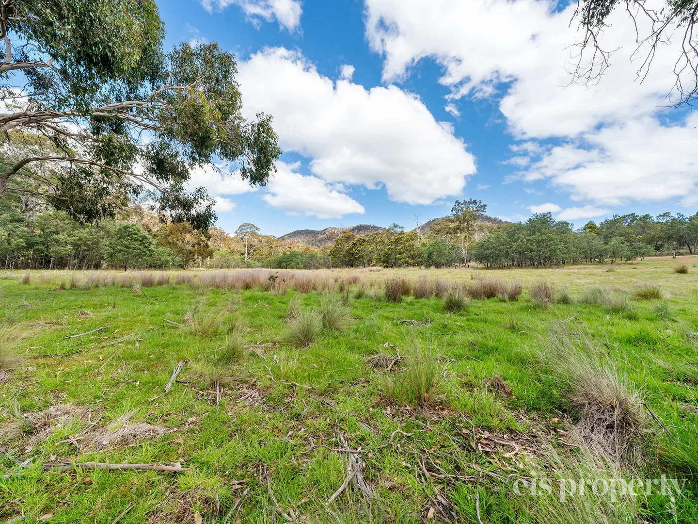 Additional image 4 of Lot 1/241 Chauncy Vale Road, Bagdad TAS 7030