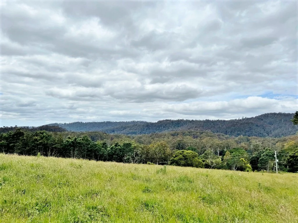 Additional image 4 of Lot 2/Part of 116680 Tasman Highway, Weldborough TAS 7264