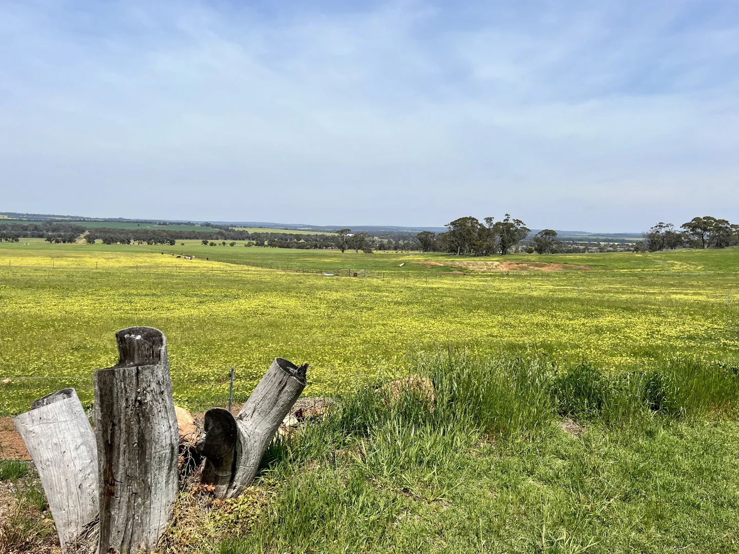 Additional image 21 of 547 Bunmulling Road, Popanyinning WA 6309